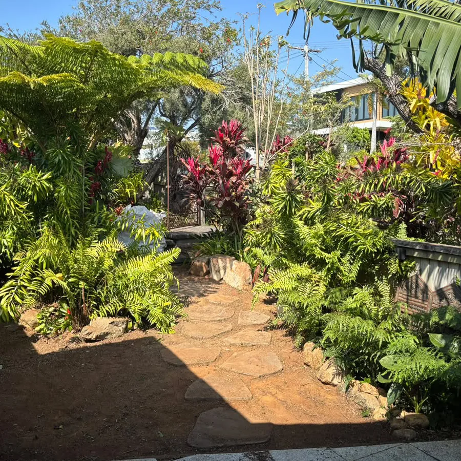 After: the garden path cleared, with the stone path and beds back in shape