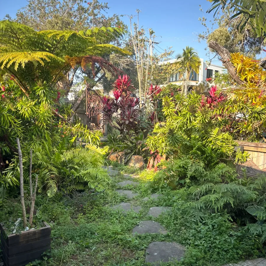 Before: the same garden overgrown, with the path hidden under weeds