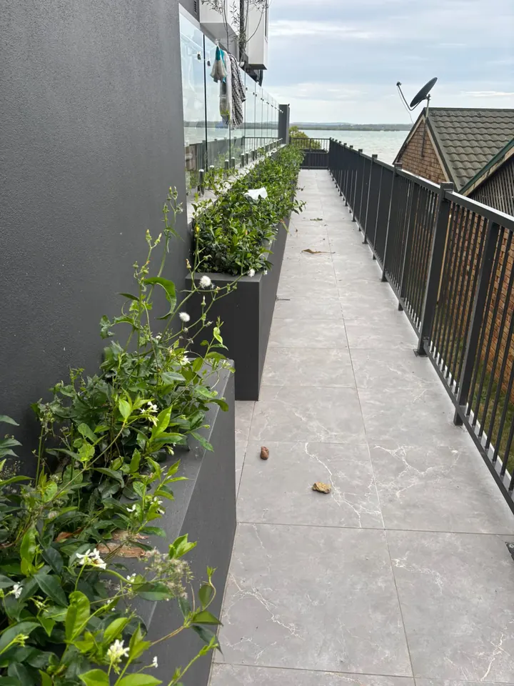 Before: overgrown planter boxes and leaves on a tiled walkway