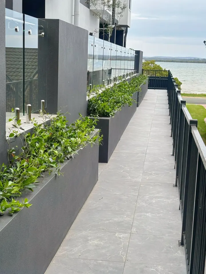 After: neatly trimmed planter boxes along a clean tiled walkway